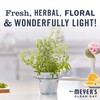 MRS. MEYER'S CLEAN DAY Mrs. Meyer's Foaming Hand Soap, Lemon