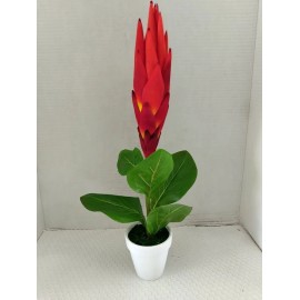 flowersbyjames Artificial Protea Plant. Hawaiian Flowers. Tropical Flowers ORANGE RED
