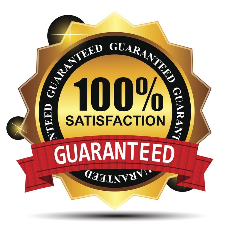 Vivian's Live Again Vegan Whipped Cream Replacement Mix-Dairy Free- Gluten