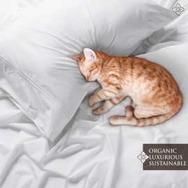 BIOWEAVES 100% Organic Cotton Percale Weave Sheets Twin – Crisp, Soft & Naturally Cooling, 300 Thread Count GOTS Certified Twin Sheets Set with 17” Deep Pocket – 3 Piece Set, White