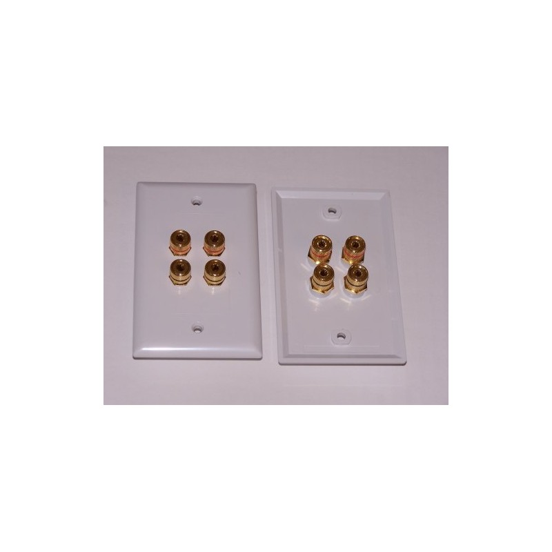 Speaker Wall Plate 4 Post for 2 Speakers and Color