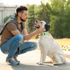 BuFan Orejeras para Perros - Protección Auditiva Ajustable, Reducción de