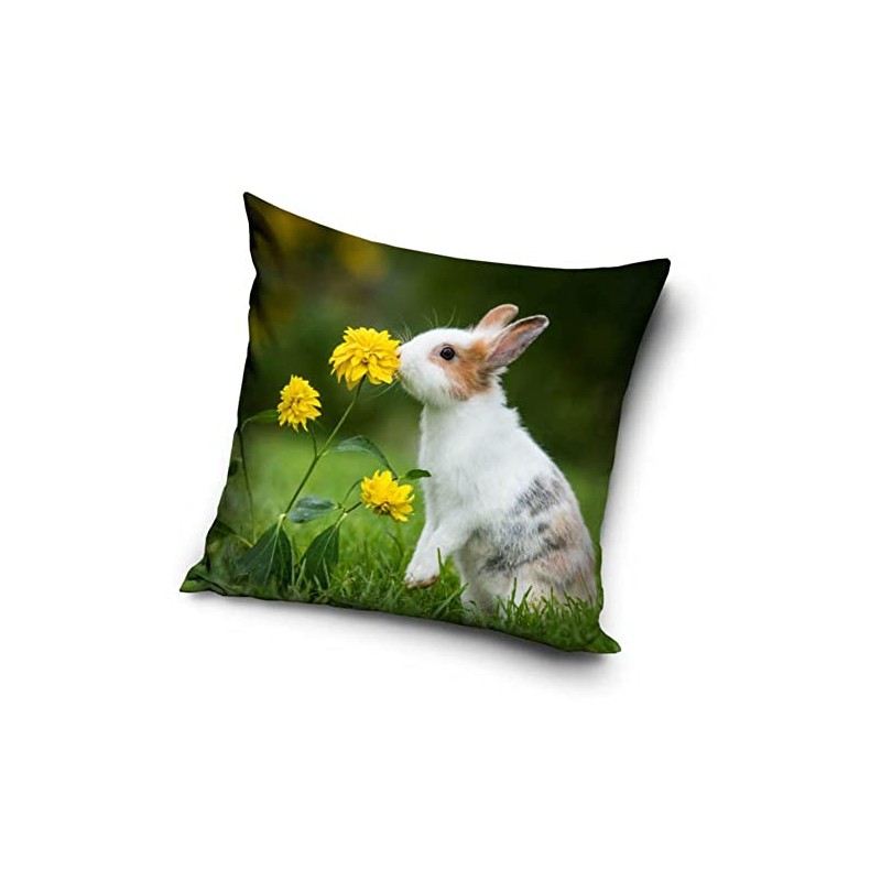 Rabbit Baby Cushion Cover 40 x 40 cm (PD211001)