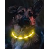 Joytale Light Up Dog Collar, Rechargeable Rainproof LED Collar for