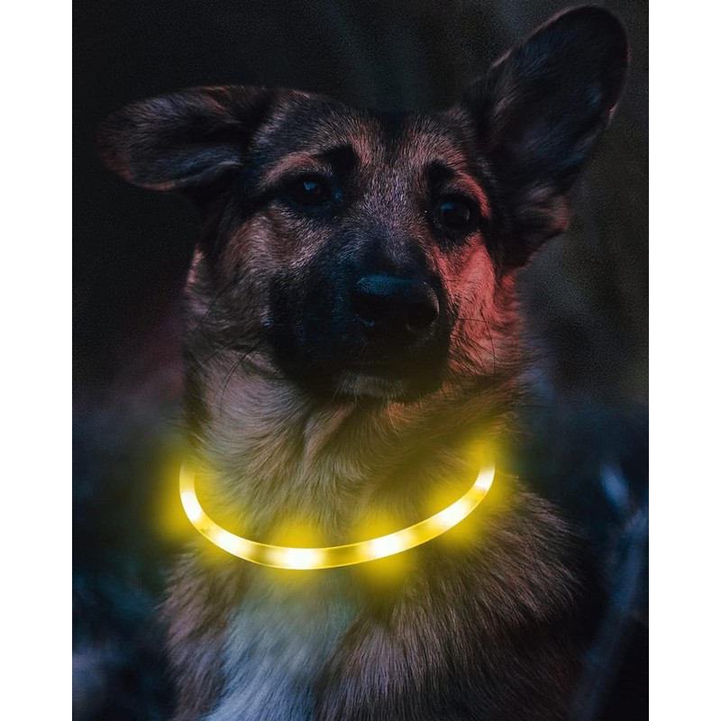 Joytale Light Up Dog Collar, Rechargeable Rainproof LED Collar for