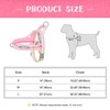 Didog No Pull Dog Harness with Soft Padded, Easy Walk