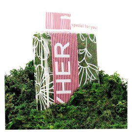 Byher 92926 Preserved Forest Moss, Fresh Green (8OZ)