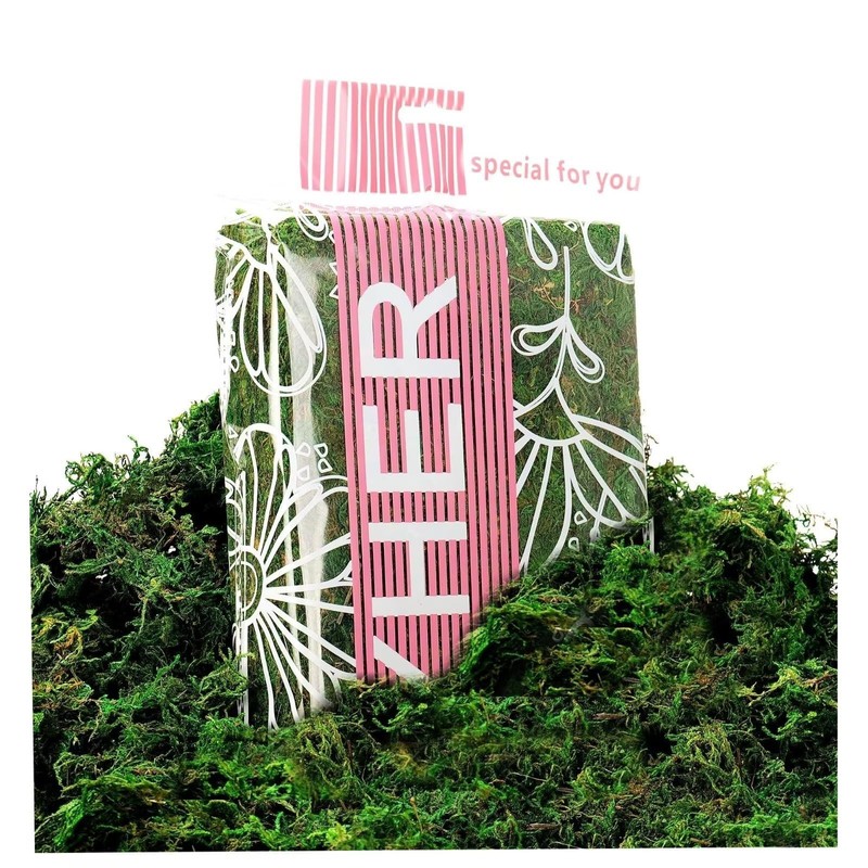 Byher 92926 Preserved Forest Moss, Fresh Green (8OZ)