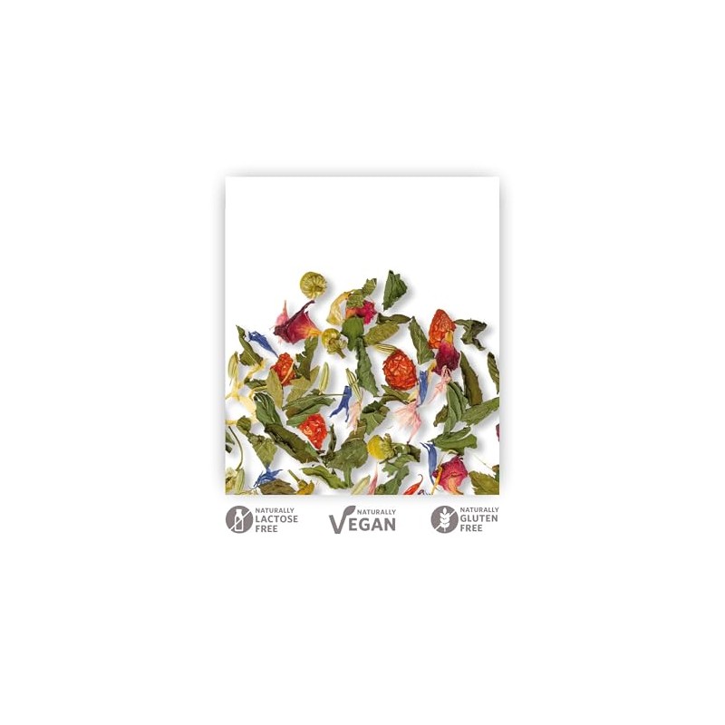 Althaus Tea Classic Herbs ⋅ Herbal Tea in Large Tea