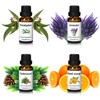 Essential Oils Set-Essential Oils- Perfect for Diffuser,Candle Making,Soap Making -Eucalyptus,