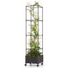 S AFSTAR Raised Garden Bed with Tomato Cage, 67" Planter