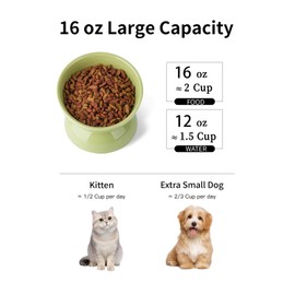 ABRUTY Cat Water Bowl, 16 OZ Ceramic Elevated Cat Bowls, 15° Tilted and Raised Pet Food Dish, Anti Vomiting Protect Pets' Spines and Whisker Fatigue