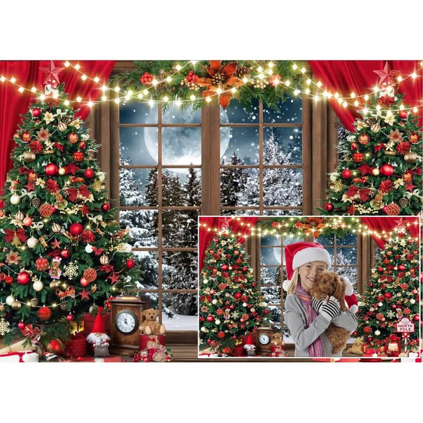 Dudaacvt 10x8ft Christmas Backdrop Christmas Window Backdrop for Photography Xmas