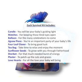 Dad to be Survival Kit - Baby Shower Gift Present Favour Gift (Dad)