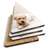 4 x Triangle Coasters - Cute Labrador Puppy Dog Cork
