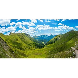 Yeele 10x5ft Vinyl Spring Party Backdrop for Photography Valley Hillside Mountain Grassland Forest Grazing Photo Background Natural Scene Kids Adult Photo Booth Shoot Studio Props