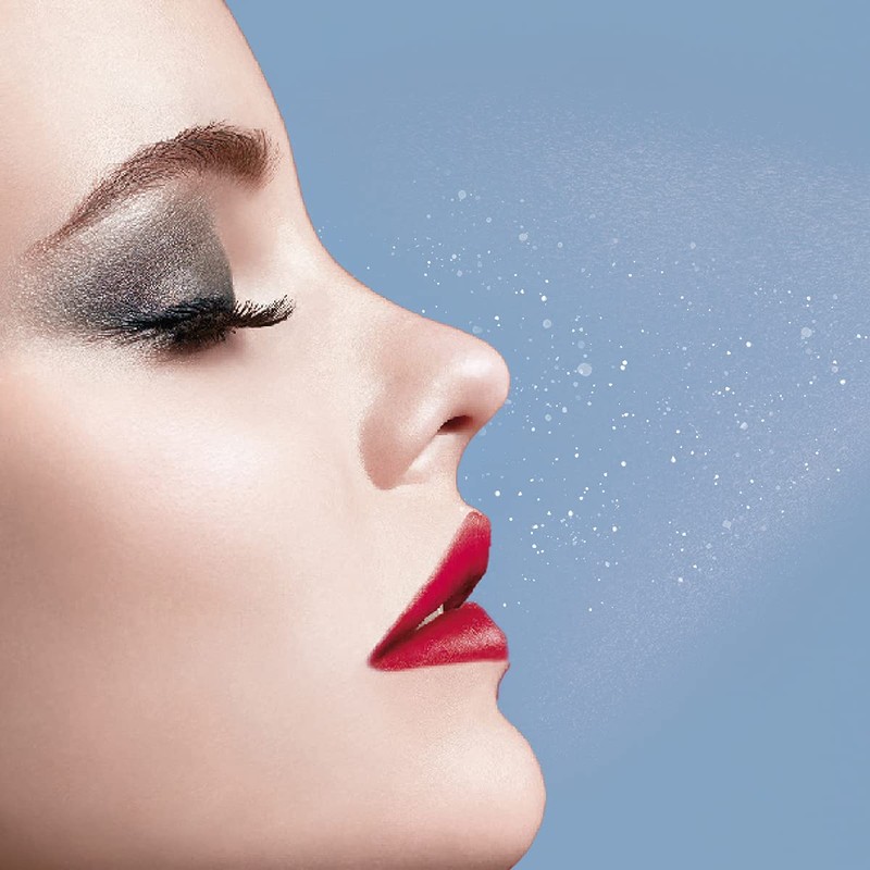 L'Oreal Paris Makeup Infallible Pro-Spray and Set Makeup Extender Setting