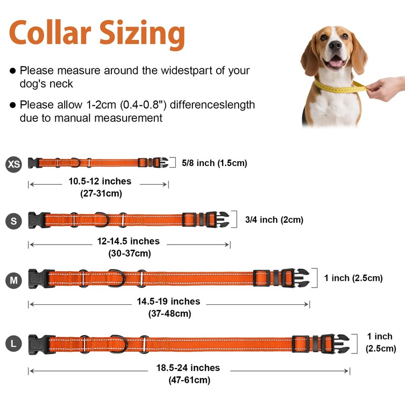 Erbine Neoprene Padded Martingale Collar for Dogs, Reflective Soft Nylon