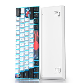 Ussixchare 60 Percent Gaming Keyboard 61 Keys Mechanical Keyboard Ultra Compact Wird Keyboard LED Backlit with Red Switch for PC Laptop Gamer(61 White)