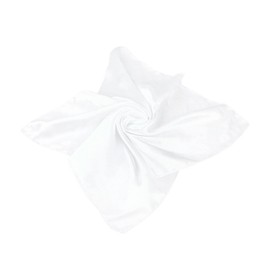 TrendsBlue Elegant Silk Feel Solid Color Satin Square Scarf, White