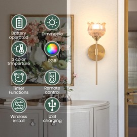 Rnzziw Battery Operated Wall Sconces Set of 2, Wireless Wall Sconce with USB, Rechargeable LED Light Bulbs 12 Colors Industrial Brushed Brass Wall Lamp for Bedroom Living Room, Bulbs Included (Amber)