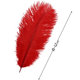 10Pcs Bulk Natural Red Ostrich Feathers,10-12 inch (25-30cm) Beautiful Long Feather for Crafts,Wedding Centerpieces Party Home Decoration,Dress and Christmas DIY (Red, 10-12in)