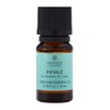 Chesapeake Bay Candle PT40936 100% Pure Essential Diffuser Oil, 10ml,