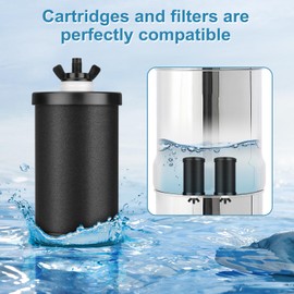 2-Pack 2387 Pro Water Filter Replacement for Alexapure Pro Gravity Water Filtration System Compatible with Alexapure 2387 Pro Filter 5,000 Gallon Throughput Capacity (2)