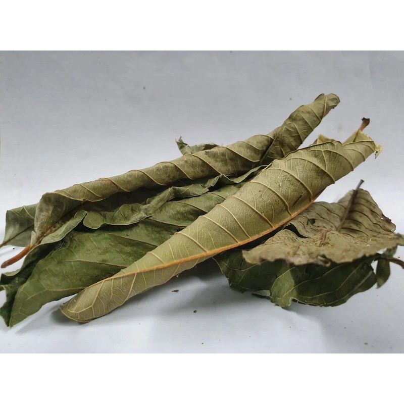 Dried Guava Leaves, Hojas de Guayaba, Loose Guava Leaf Tea