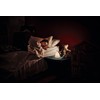 OSRAM NIGHTLUX TOUCH Luce notturna a forma di coniglio con