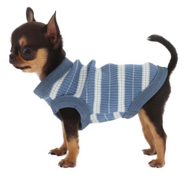 LOPHIPETS 100% Cotton Rib Dog Shirt Vest for Small Dogs Teacup Chihuahua Yorkie Puppy Clothes Tank Tee-Navy/XS