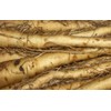 NIKA SEEDS - Vegetable Oat Root Salsify - 100 Seeds