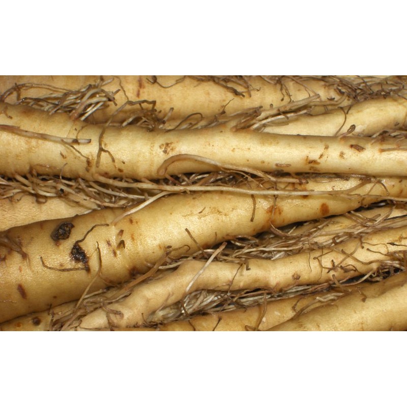 NIKA SEEDS - Vegetable Oat Root Salsify - 100 Seeds