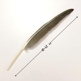 50pcs Grey Long Feathers 10~12 Inches,Beautiful Bulk Feather for Crafts 26-31CM,Big Size Bilateral Natural Goose Feather,for Wedding Dress and Party Decoration,DIY Fabricating Handicraft Article (Grey)