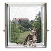 Kerbl Cat Protection Net, transparent, 4 x 3 m
