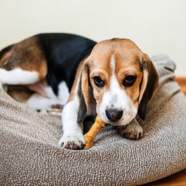 Fieldcrest Farms Nothin' to Hide 3 inch Ultra Knotted Bone Treats - Natural Rawhide Alternative Treats for Dogs, Collagen Based Snack for Heavy Chewers up to 15lbs - Beef Flavor, 12 Pack