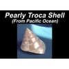 ABCGEMS Flashy Pacific-Ocean Troca Shell Inlaid Kamagong Ebony Wood Beads