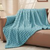 BEDELITE Fluffy Fleece Throw Blanket - Light Blue Sofa Throw