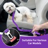 BWOGUE 2 Piece Dog Seat Belt for Car with Elastic