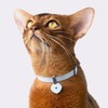 Safety Cat Collar Pro - U.S. IDA Gold Awarding Design,