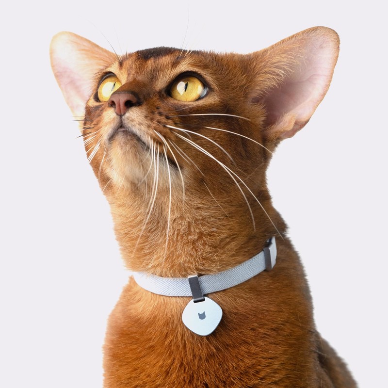 Safety Cat Collar Pro - U.S. IDA Gold Awarding Design,