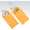 Kraft Coin/Seed Envelopes 2.25" x 3.5" #1 Small Parts Gummed