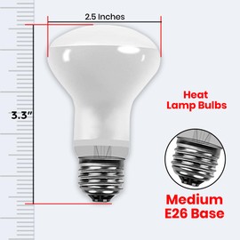 BULBMASTER Reptile Heat Lamp Bulbs - 50 Watts UVA Basking Light for Reptiles and Amphibian, Basking Light for Bearded Dragon, UVA Reptile Light Bulb E26 Base 2 Pack