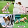 FurVeluxia 3 Pack Washable Female Dog Diapers Sanitary Pantie with