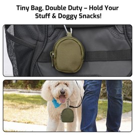 AzureRay Coin Purse with Zip, Change Purses Small Organiser Bags Canvas for Home, Coin Purse Key Chain Bags for Waist Pack (Black), Green, S, Casual