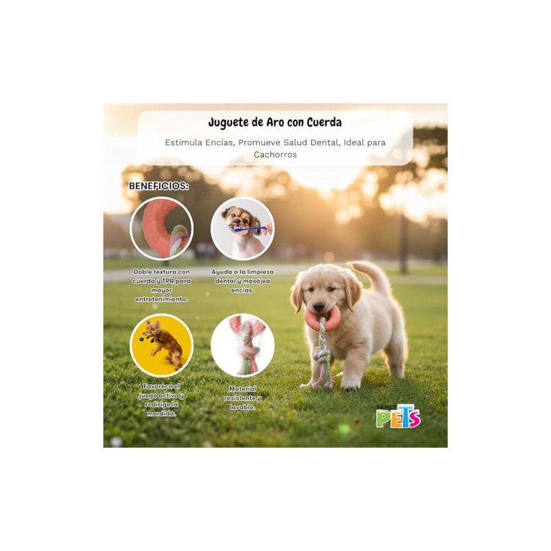 Fancy Pets Juguete para Perro de Caucho Aro con Cuerda