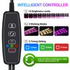 LED Grow Lights Strips for Indoor Plants, 3 Working Modes