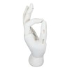 Psychic Fortune Teller Chirology Palmistry Hand Palm With Lines Mounts