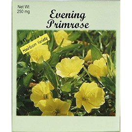Set of 50 Flower Seed Packets! Flower Seeds in Bulk (50, Evening Primrose)