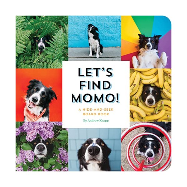 Let's Find Momo!: A Hide-and-Seek Board Book